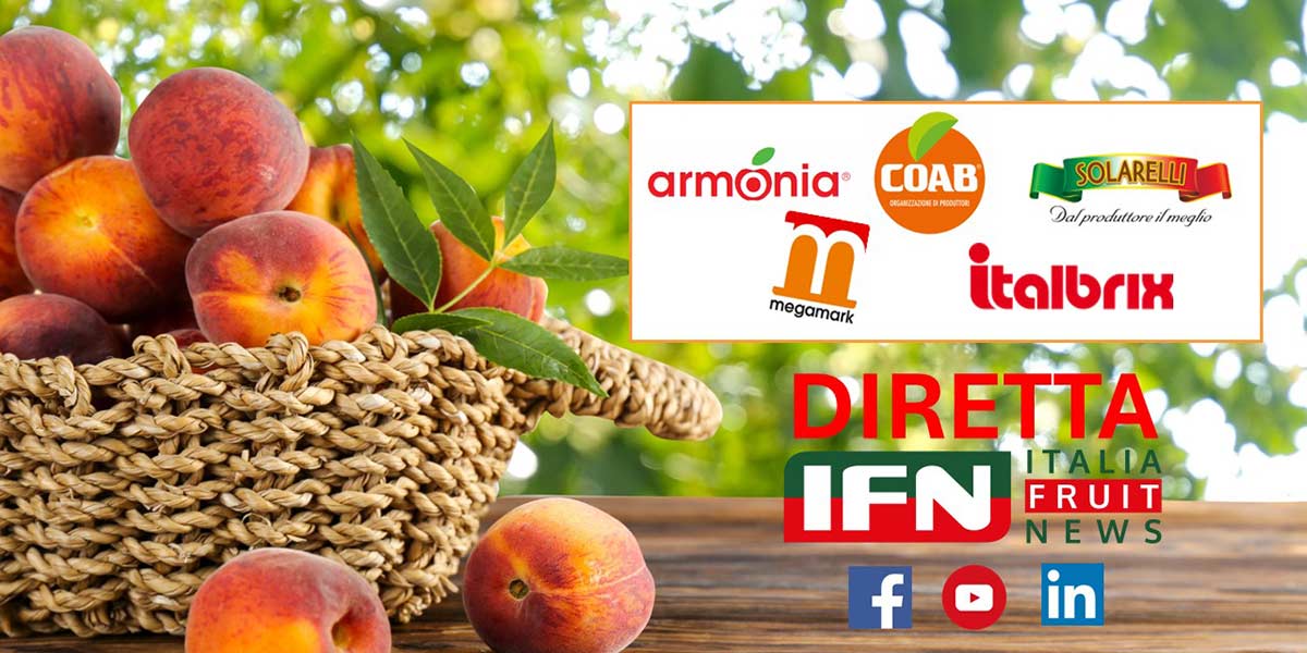 Pesche e nettarine, la strada per il futuro è tracciata